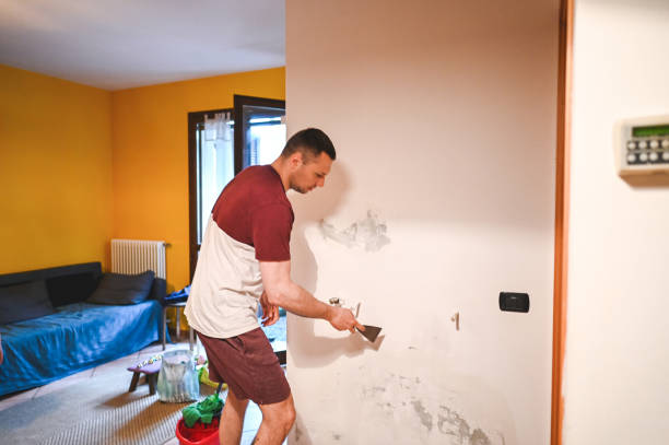 Best Mold Removal Company Near Me  in Mount Vernon, AL
