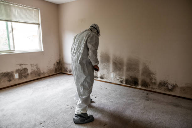 Water Damage Restoration in Mount Vernon, AL